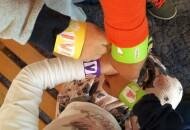 Σχολεία Υπερασπιστές των Παιδιών